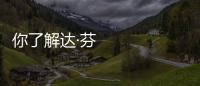 你了解達·芬奇么？達·芬奇的成就有哪些？