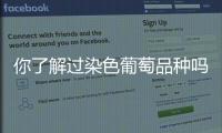 你了解過(guò)染色葡萄品種嗎？