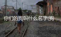 你們的狗叫什么名字(狗叫什么名字好聽呢)