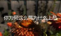 你為何這么屌為什么上熱搜?