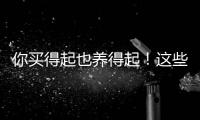 你買得起也養得起！這些合資車10萬不到