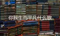 你我生而平凡什么歌