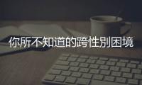 你所不知道的跨性別困境：為何過半民眾對於「免術(shù)換證」仍然難以接受？