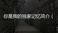 你是我的獨(dú)家記憶簡介（你是我的獨(dú)家記憶 簡介）