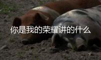 你是我的榮耀講的什么