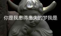 你是我患得患失的夢(mèng)我是你可有可無的人英文