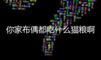 你家布偶都吃什么貓糧啊？布偶貓吃什么貓糧又便宜又營養
