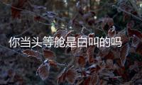 你當(dāng)頭等艙是白叫的嗎 GL8座椅性能解密