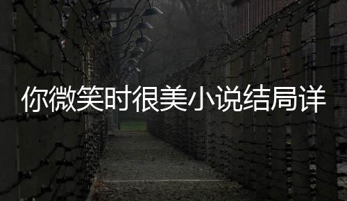 你微笑時很美小說結(jié)局詳解 陸思誠童謠最后在一起了嗎