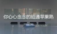 你心心念念的昭通蘋果熟啦！快來嘗鮮