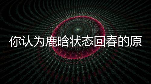 你認為鹿晗狀態回春的原因是什么 魔鬼訓練與職業素養