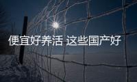便宜好養(yǎng)活 這些國產(chǎn)好車最低不到5萬