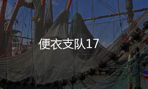 便衣支隊(duì)17