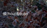 侯(hóu)匆(cōnɡ)的底層邏輯是什么?