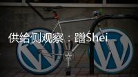供給側觀察：蹭Shein深度，談談健康險的抓手和觸角