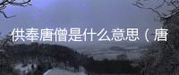 供奉唐僧是什么意思（唐僧是什么意思）