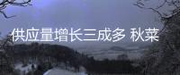 供應量增長三成多 秋菜越吃越便宜