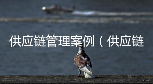 供應(yīng)鏈管理案例（供應(yīng)鏈管理案例）