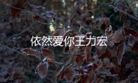 依然愛你王力宏