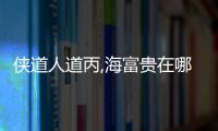 俠道人道丙,海富貴在哪（俠道人道）