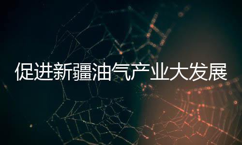 促進新疆油氣產業大發展大繁榮