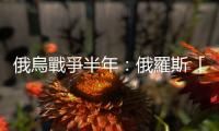 俄烏戰爭半年：俄羅斯「速勝計劃」破滅，但烏克蘭要驅逐俄又談何容易？
