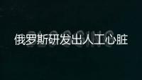 俄羅斯研發出人工心臟
