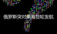 俄羅斯突對黑海貨輪發航行警告CBOT小麥多個合約飆升至漲停