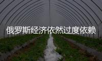 俄羅斯經濟依然過度依賴原油