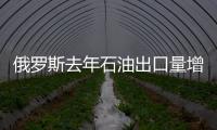 俄羅斯去年石油出口量增加１．８％