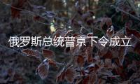 俄羅斯總統(tǒng)普京下令成立國家反恐委員會協(xié)調反恐