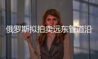 俄羅斯擬拍賣遠東管道沿線采礦權