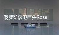俄羅斯核電巨頭Rosatom進(jìn)入儲(chǔ)能領(lǐng)域