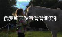 俄羅斯天然氣涓涓細(xì)流難解歐洲能源饑渴