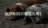 俄羅斯阿爾泰海關局1
