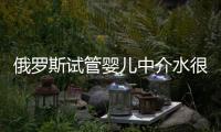 俄羅斯試管嬰兒中介水很深!包成功只是宣傳噱頭
