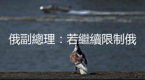 俄副總理：若繼續(xù)限制俄能源出口　能源價(jià)格或達(dá)歷史新高