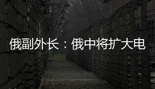 俄副外長：俄中將擴大電力石油等能源合作