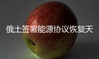 俄土簽署能源協(xié)議恢復天然氣供應