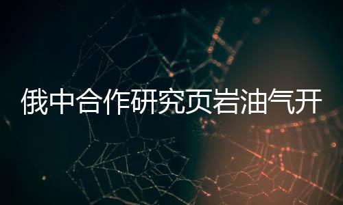 俄中合作研究頁巖油氣開采新方法