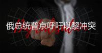 俄總統普京呼吁以黎沖突雙方和平方式解決爭端