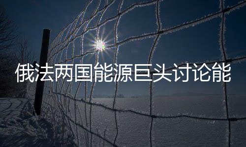 俄法兩國能源巨頭討論能源領(lǐng)域合作