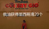 俄油獲得墨西哥灣20個深水勘探區(qū)塊30%股份