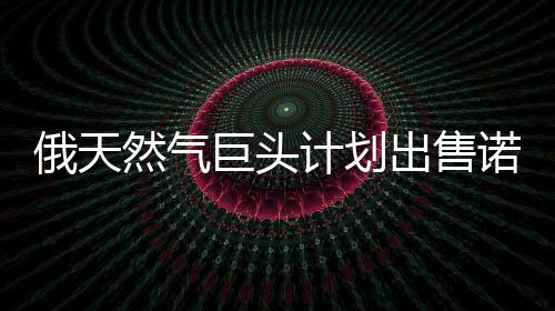 俄天然氣巨頭計劃出售諾瓦泰克10%股份