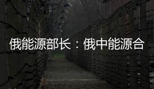 俄能源部長：俄中能源合作應加強股權技術交換