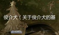 俊介犬（關(guān)于俊介犬的基本情況說明介紹）