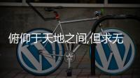 俯仰于天地之間,但求無愧于心（但求無愧于心）