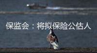 保監(jiān)會：將擬保險公估人誠信負(fù)面清單