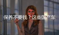 保養不要錢？這些國產車也有這樣的好事！