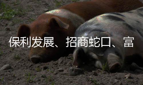 保利發展、招商蛇口、富力正式通過廣州荔灣葵蓬舊改項目資格審查